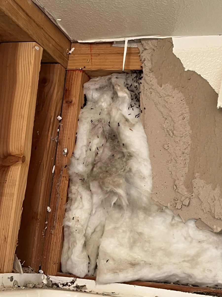 Bathroom shower opened to exposed framing and insulation during demolition
